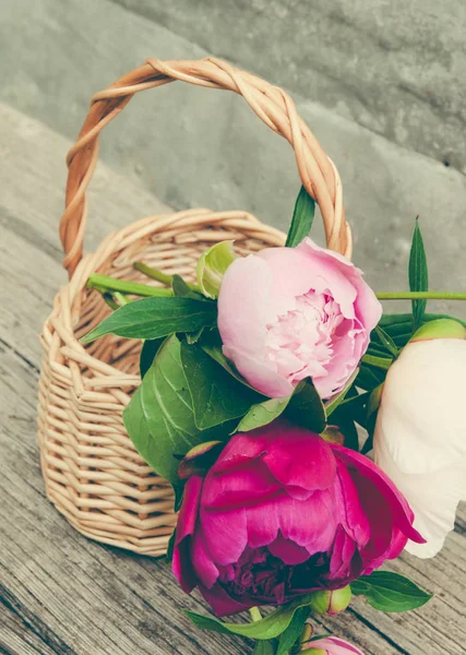 Hermosas Flores Peonías Fondo Cerca — Foto de Stock