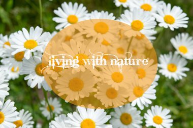 Bulanık arka plan hakkında ilham verici bir alıntı. Mutluluk kavramı. 