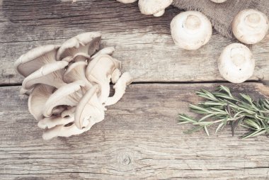 Arka plan üzerinde taze mantar yakın çekim