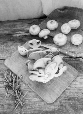 Arka plan üzerinde taze mantar yakın çekim