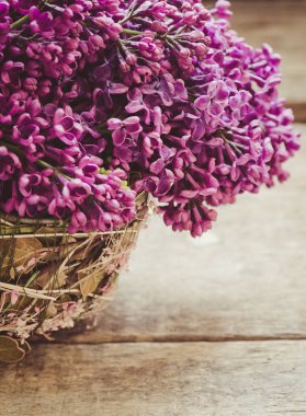 arka planda Lila resimlerfowers, yakın çekim