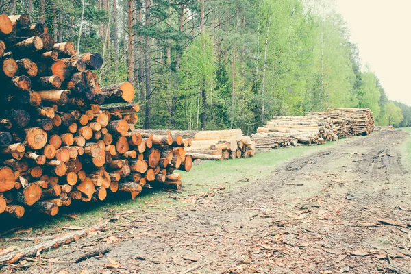 Preparación Leña Para Invierno Leña Fondo Montones Leña Bosque —  Fotos de Stock