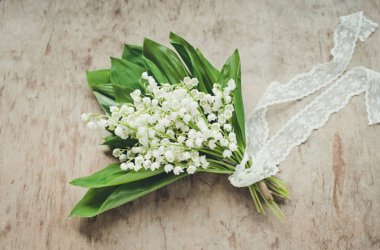 Arka planda vadinin buketi