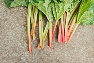 Taze ravent yaprakları ile yakın çekim 