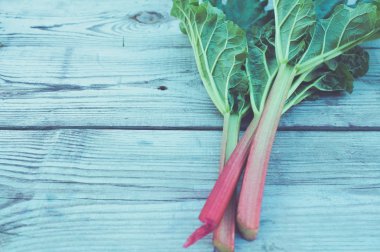 Taze ravent yaprakları ile yakın çekim 