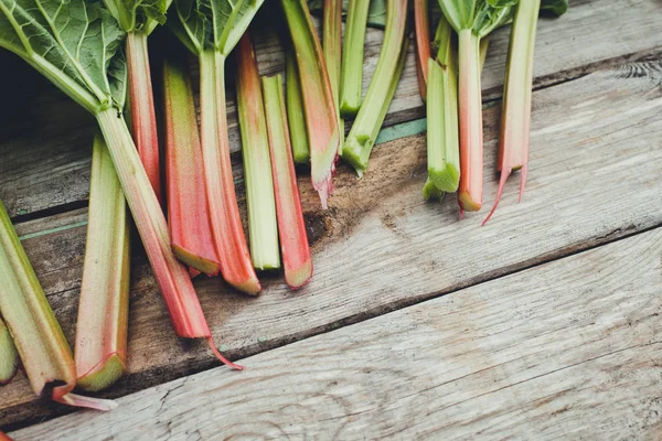 Rhubarbe Fraîche Aux Feuilles Rapprochées — Photo