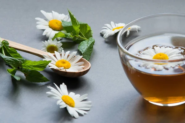 Tasse Thé Avec Des Fleurs Camomille — Photo