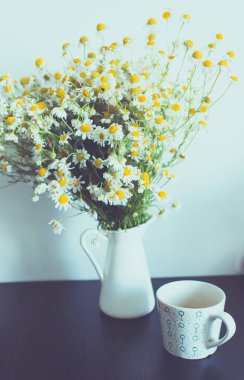 Arka planda yaz chamomiles çiçekler, yakın