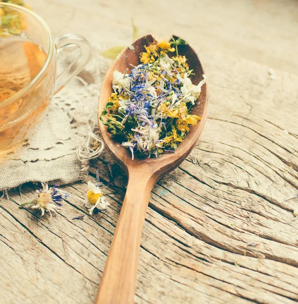 Tisane Aux Fleurs Pour Une Vie Saine — Photo