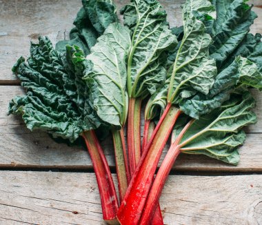 Taze ravent yaprakları ile yakın çekim