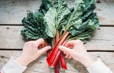 Yaprakları ve elleri ile Taze rhubarb kadar yakın