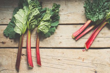 Taze ravent yaprakları ile yakın çekim