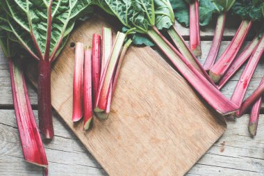 Taze ravent yaprakları ile yakın çekim