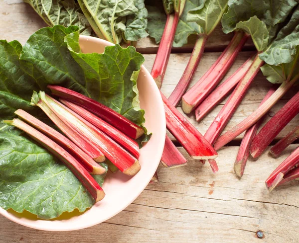 Rhubarbe Fraîche Aux Feuilles Rapprochées — Photo