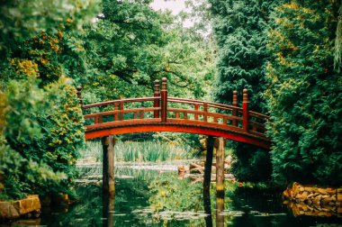 Yeşil Park nehir üzerinde güzel köprü