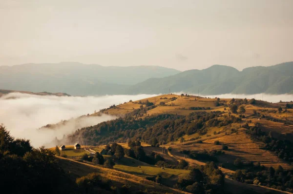 fog in autumn mountains