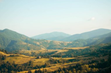 Sonbahar dağ çayır görünümü