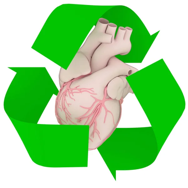 recycle symbol with human heart