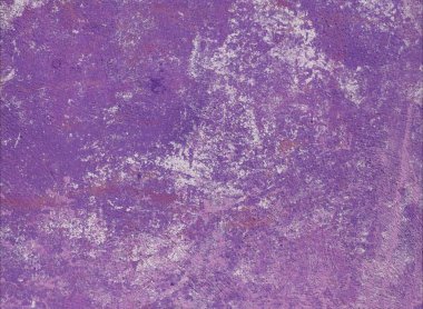 Çağdaş sanat. El sanat yapılmış. Renkli doku. Modern sanat. Yağlı boya darbeleri. Darbeleri. Sanatsal arka plan görüntüsü. Soyut resim tuval üzerine.