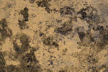 Grunge çağdaş sanat. El sanat yapılmış. renkli doku. Modern sanat. Yağlı boya darbeleri. Darbeleri. Sanatsal arka plan. Soyut resim tuval üzerine.