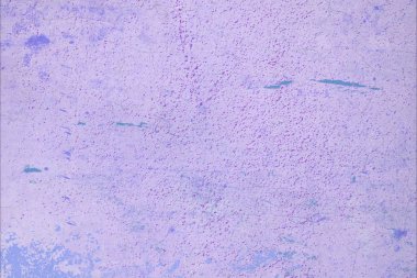 Grunge çağdaş sanat. El sanat yapılmış. renkli doku. Modern sanat. Yağlı boya darbeleri. Darbeleri. Sanatsal arka plan. Soyut resim tuval üzerine.