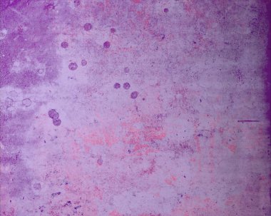 Grunge çağdaş sanat. El sanat yapılmış. renkli doku. Modern sanat. Yağlı boya darbeleri. Darbeleri. Sanatsal arka plan. Soyut resim tuval üzerine.