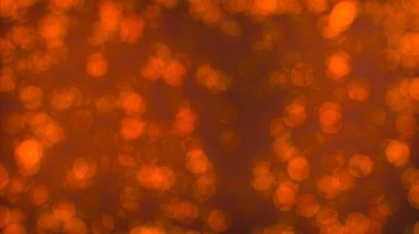 Bokeh ve parlak ışıklar arka plan. Doğal bokeh ve parlak ışıklar Vintage Magic arka plan ile renk Festival arka plan 