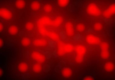 Bokeh ve parlak ışıklar arka plan. Doğal bokeh ve parlak ışıklar Vintage Magic arka plan ile renk Festival arka plan