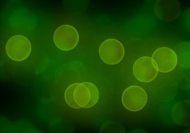 Bokeh ve parlak ışıklar arka plan. Doğal bokeh ve parlak ışıklar Vintage Magic arka plan ile renk Festival arka plan