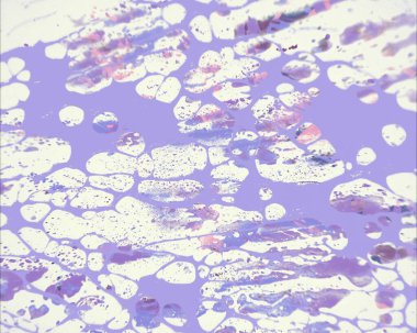 Grunge çağdaş sanat. El sanat yapılmış. renkli doku. Modern sanat. Yağlı boya darbeleri. Darbeleri. Sanatsal arka plan. Soyut resim tuval üzerine.