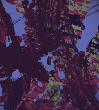 Grunge çağdaş sanat. El sanat yapılmış. renkli doku. Modern sanat. Yağlı boya darbeleri. Darbeleri. Sanatsal arka plan. Soyut resim tuval üzerine.