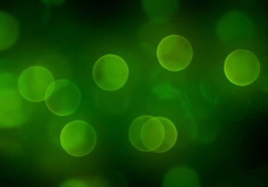 Bokeh ve parlak ışıklar arka plan. Doğal bokeh ve parlak ışıklar Vintage Magic arka plan ile renk Festival arka plan