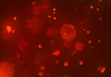 bokeh ile parlak soyut arka plan, ışıltı parlayan duvar kağıdı