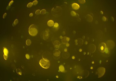 parlak bokeh ışıkları ile dijital duvar kağıdı 