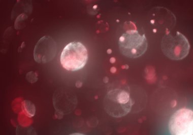 bokeh ile parlak soyut arka plan, ışıltı parlayan duvar kağıdı