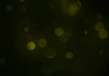 metin veya görüntü için alan ile bokeh arka plan