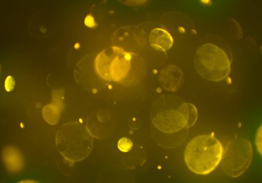 bokeh ile parlak soyut arka plan, ışıltı parlayan duvar kağıdı