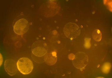 bokeh ile parlak soyut arka plan, ışıltı parlayan duvar kağıdı