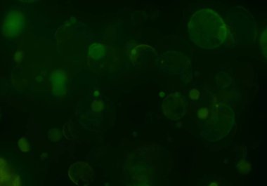 bokeh ışıkları ile soyut duvar kağıdı