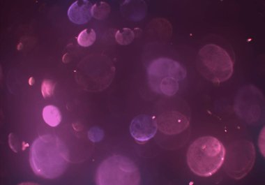 bokeh ile soyut arka plan, parlayan duvar kağıdı