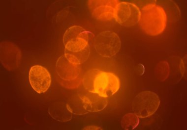 bokeh ile soyut arka plan, parlayan duvar kağıdı