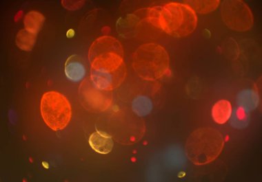 metin veya görüntü için alan ile bokeh arka plan