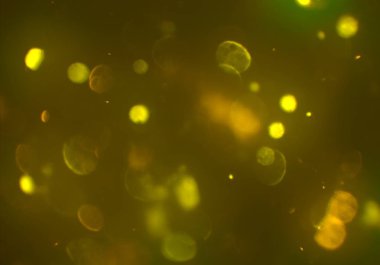 bokeh ile soyut arka plan, parlayan duvar kağıdı