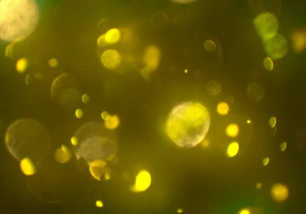 Abstract Background Defocused Bokeh Glowing Glitters Wallpaper — Stock Photo, Image