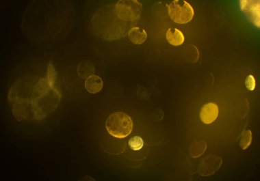 defokus bokeh ile soyut arka plan, parlayan glitters duvar kağıdı