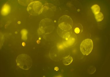 afiş tasarımı için soyut yaratıcı arka plan