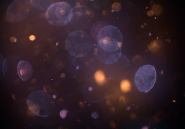 bokeh ve metin için alan ile soyut duvar kağıdı