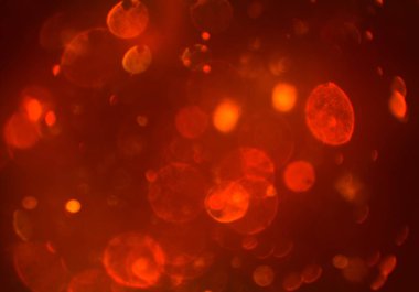 parlayan glitters duvar kağıdı, defokus bokeh ile soyut arka plan 