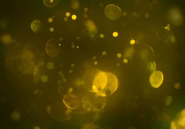 bokeh ve metin için alan ile soyut duvar kağıdı