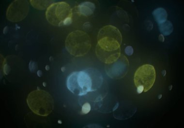 parlayan glitters duvar kağıdı, defokus bokeh ile soyut arka plan 